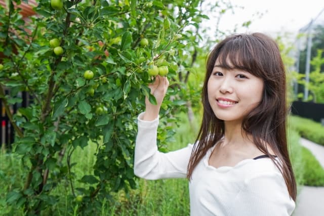青果物の特定原産地証明書の発給手続きが簡素化されました。